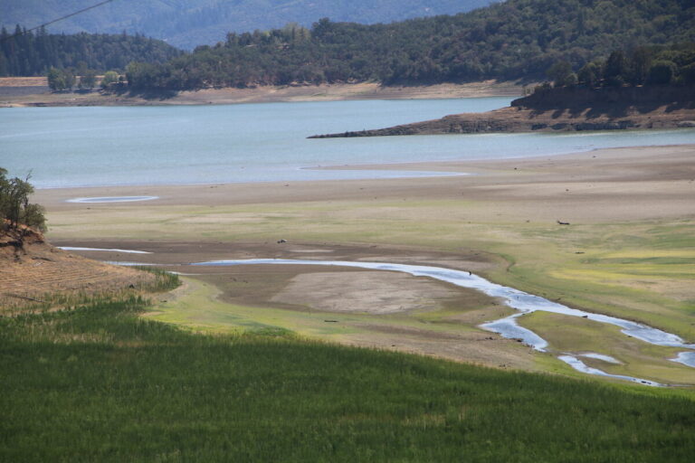 Newsom declares drought emergency across California