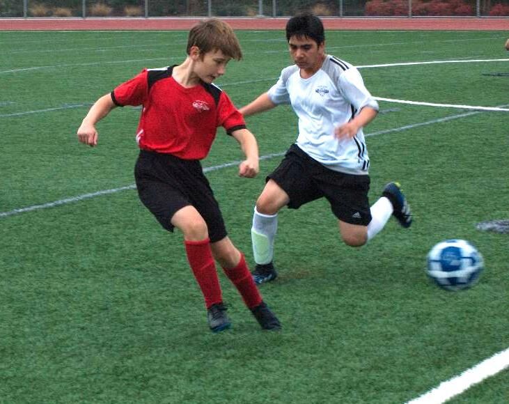 Healdsburg youth soccer teams dodge weekend rain