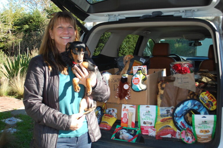 Help a shelter dog this holiday season by visiting a Sebastopol giving tree