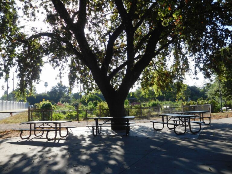 Healdsburg Parks Foundation launches first legacy bench project