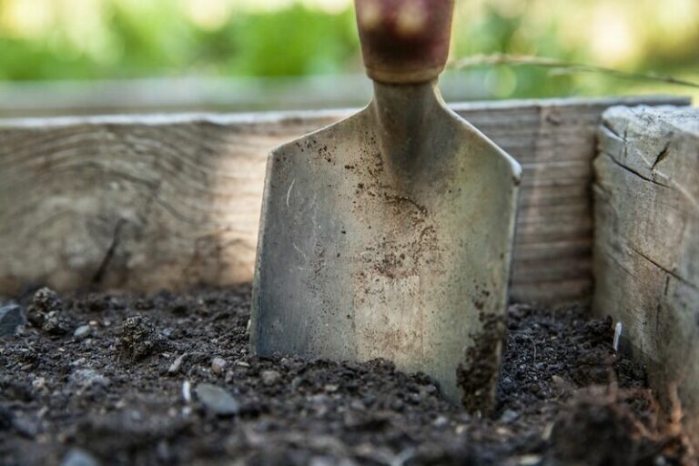 Sebastopol giving out compost March 12