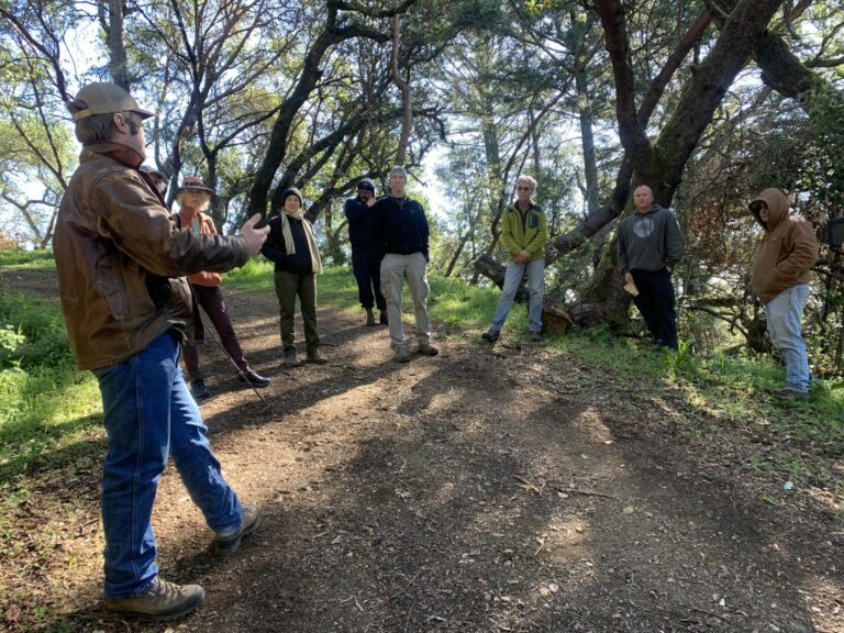 Vegetation projects are working to make Fitch Mountain safer