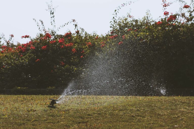 Californians used more water as state braces for another dry year