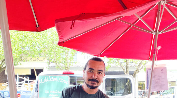 Sam works the Middleton Farm produce booth at a recent Tuesday Farmers’ Market. He says Middleton Farm has attended the Healdsburg Farmers’ Market since 1989.