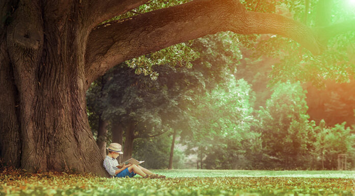 Little boy reading a book under big linden tree