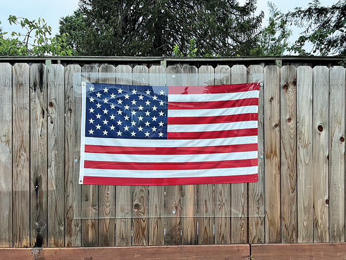 Reflections on the Flag