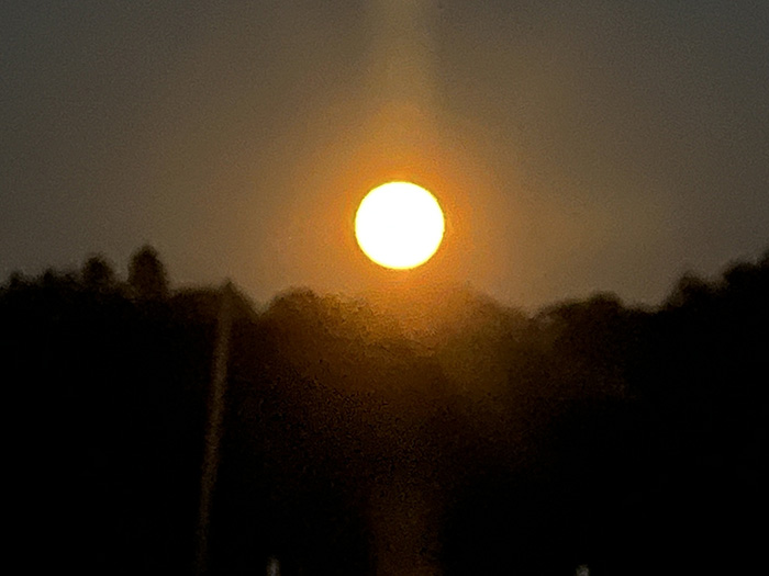 This Week in H’burg…   …Sturgeon Moon