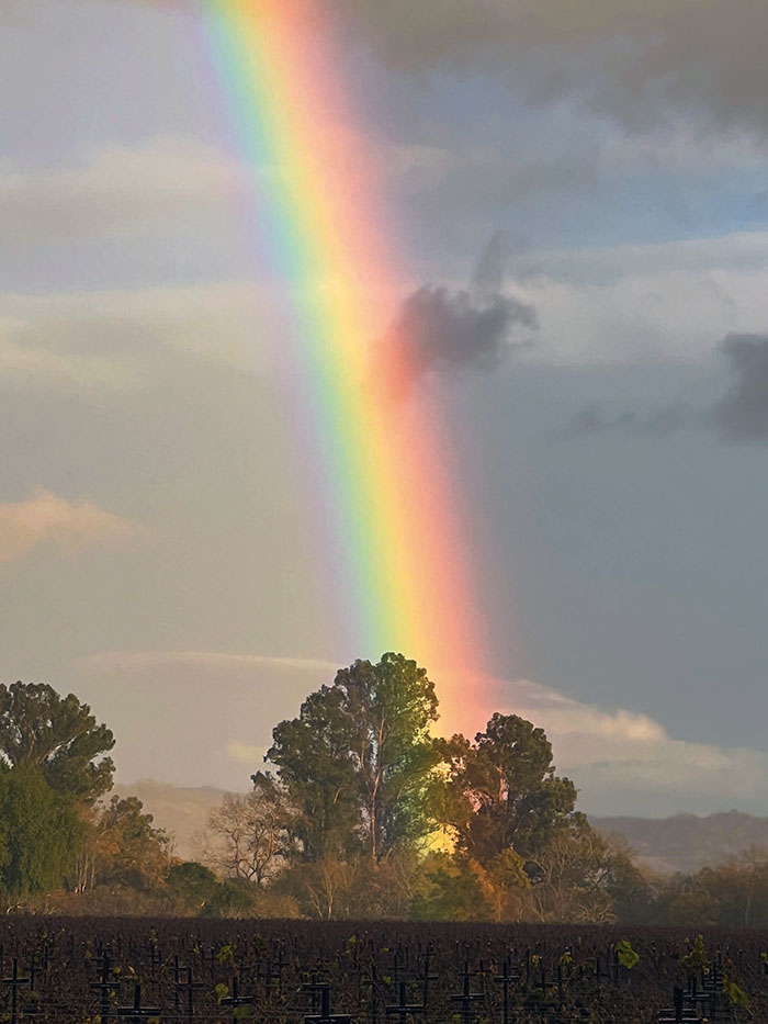 Artist’s Arresting Light