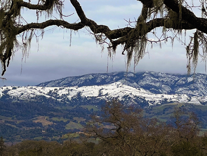 There’s Snow on Them Thar Hills