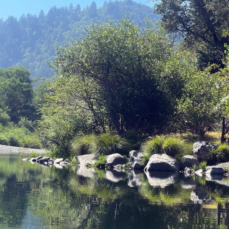 Snapshot: Rolling Down the River