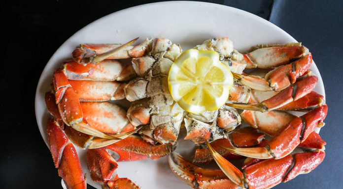 Dungeness Crab