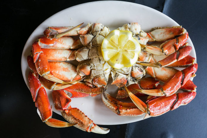 Dungeness Crab