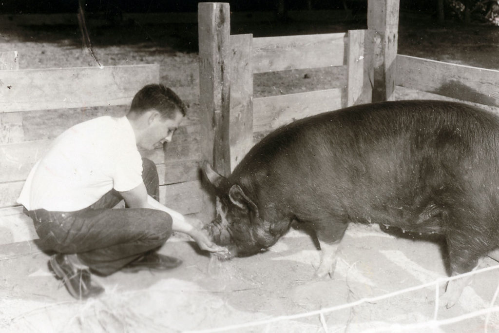 Boy with pig