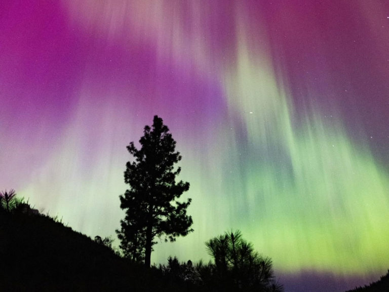 Northern Lights - crop