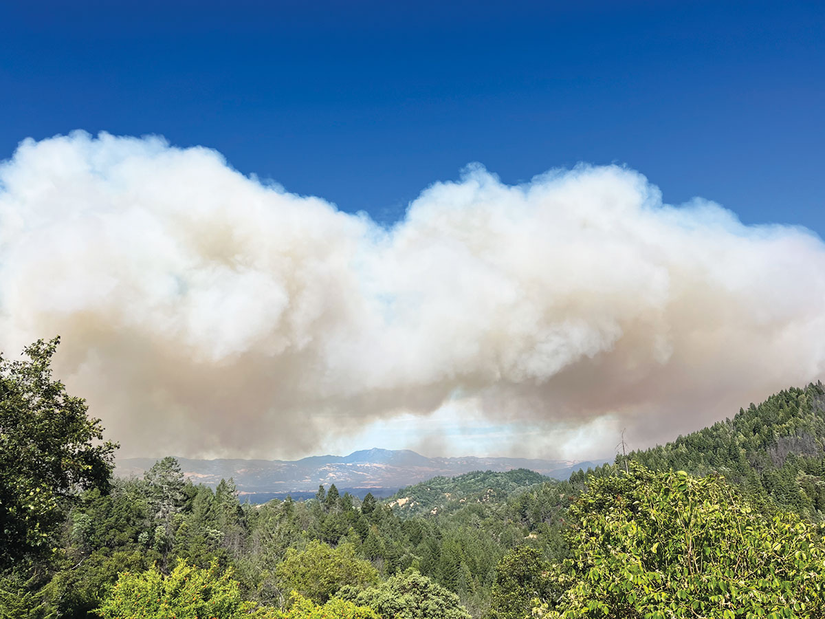 Point Fire Torches Dry Creek Valley - Healdsburg Tribune