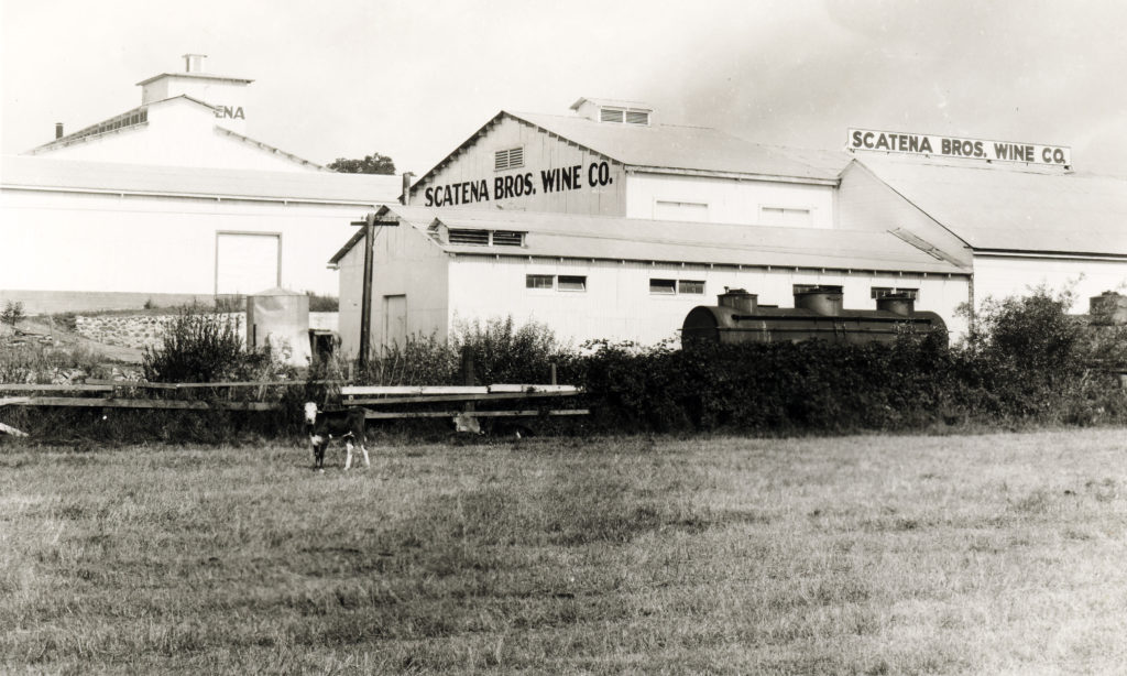 Historic winery warehouse