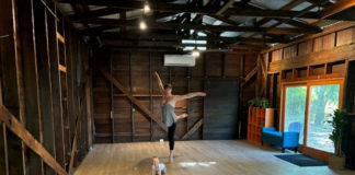 Dragonfly dance studio