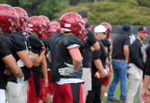 Greyhounds on the sidelines