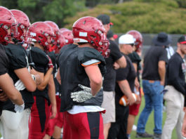 Greyhounds on the sidelines