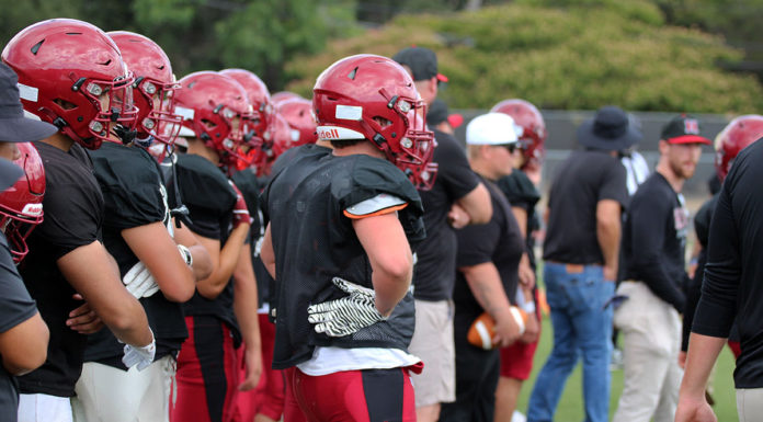 Greyhounds on the sidelines