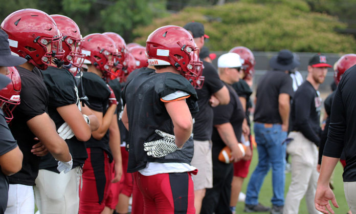 Greyhounds on the sidelines