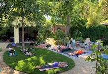 Yoga in the backyard