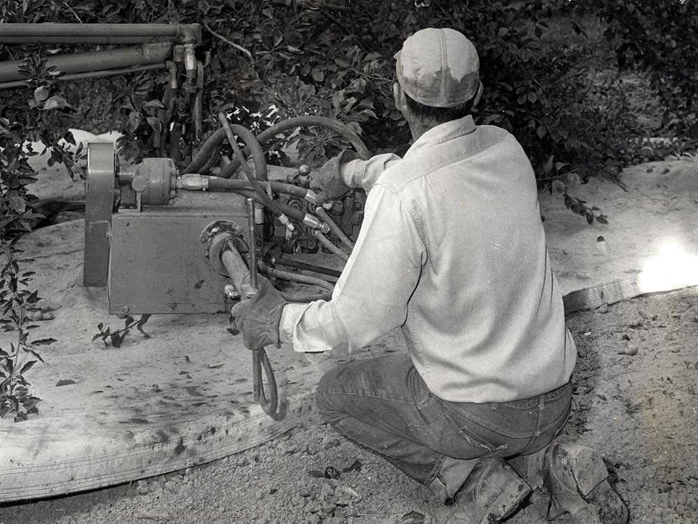 Prune harvesting machine