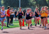 Runners at starting line