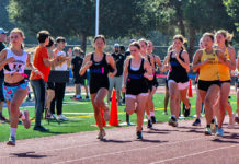 Runners at starting line