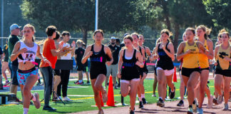 Runners at starting line