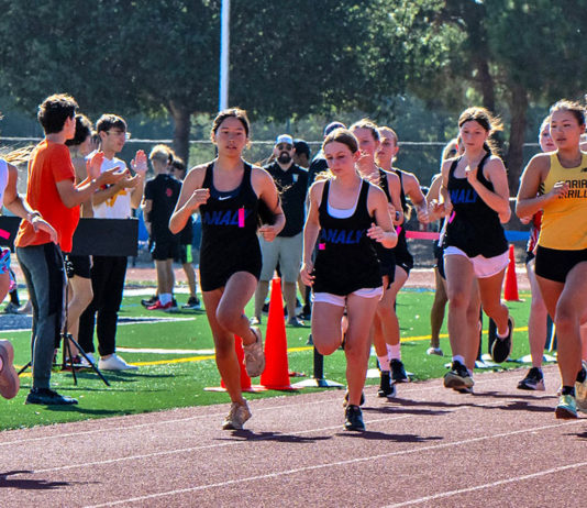 Runners at starting line