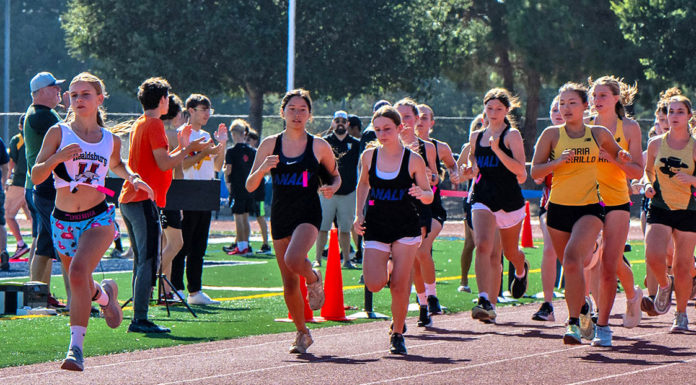 Runners at starting line