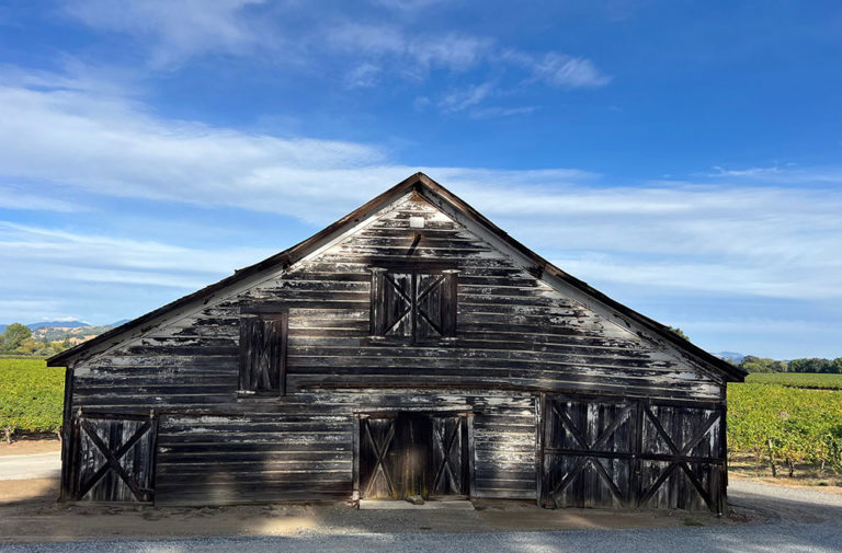 Snapshot: Bird Side of a Barn