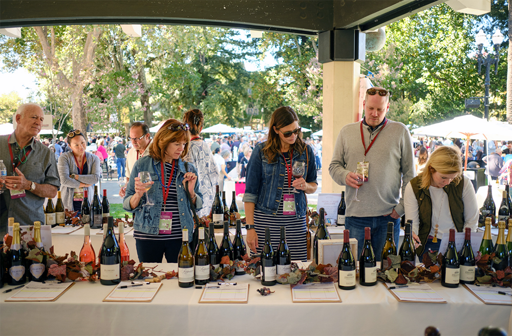 Wine tasters in Healdsburg Plaza