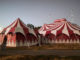 Flynn Creek Circus