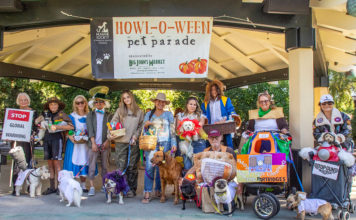 Pet Parade winners at the Plaza