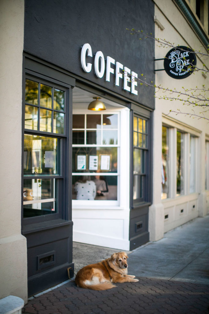 Black Oak Coffee Roasters