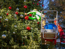 Decorating the tree