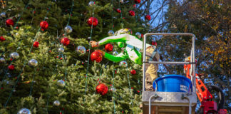 Decorating the tree