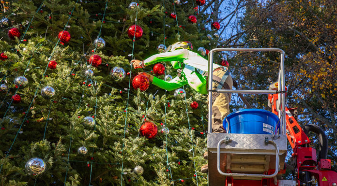 Decorating the tree