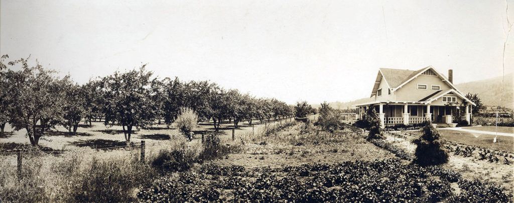 Dry Creek Valley, 1920