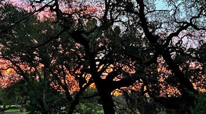 Mill Creek Road at sunrise