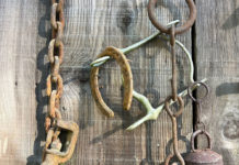 Rusted horse tack on a barn door