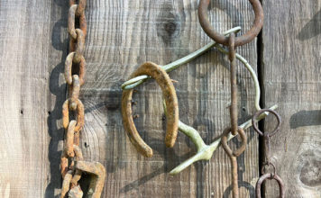 Rusted horse tack on a barn door