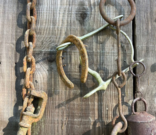 Rusted horse tack on a barn door