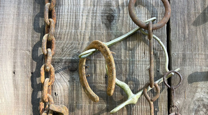 Rusted horse tack on a barn door