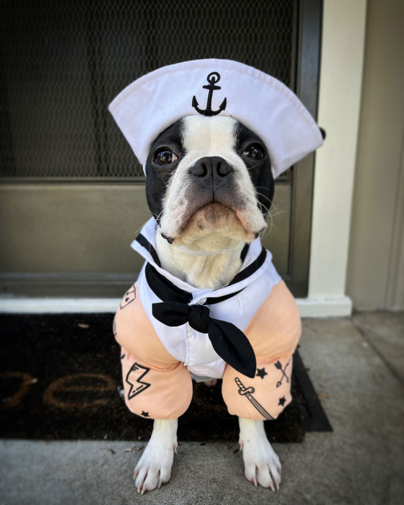 rooster the sailor, best costume