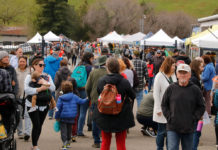 Lake Sonoma Steelhead Festival