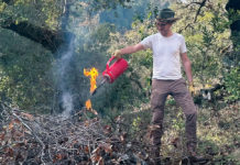 Prescribed burning near Healdsburg