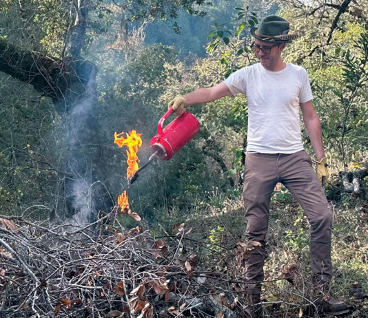 Prescribed burning near Healdsburg